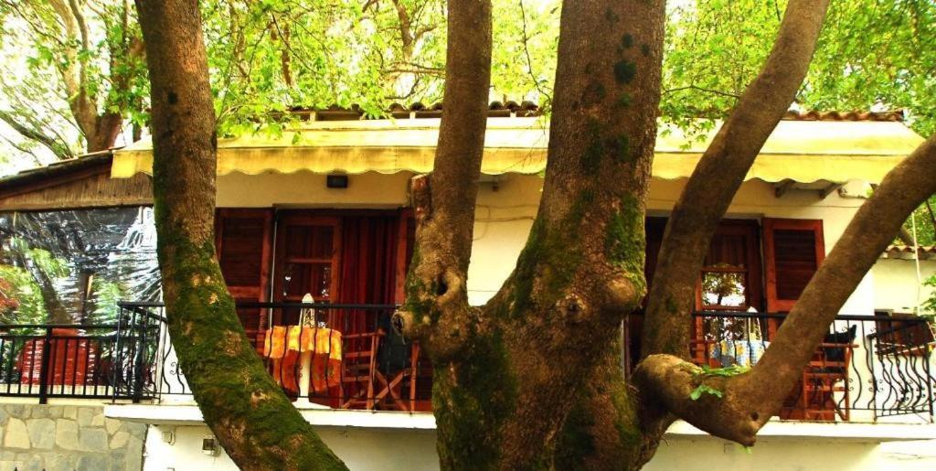 Parselia Rooms Therma (Samothraki) Exterior foto