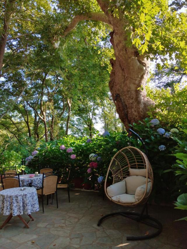 Parselia Rooms Therma (Samothraki) Exterior foto