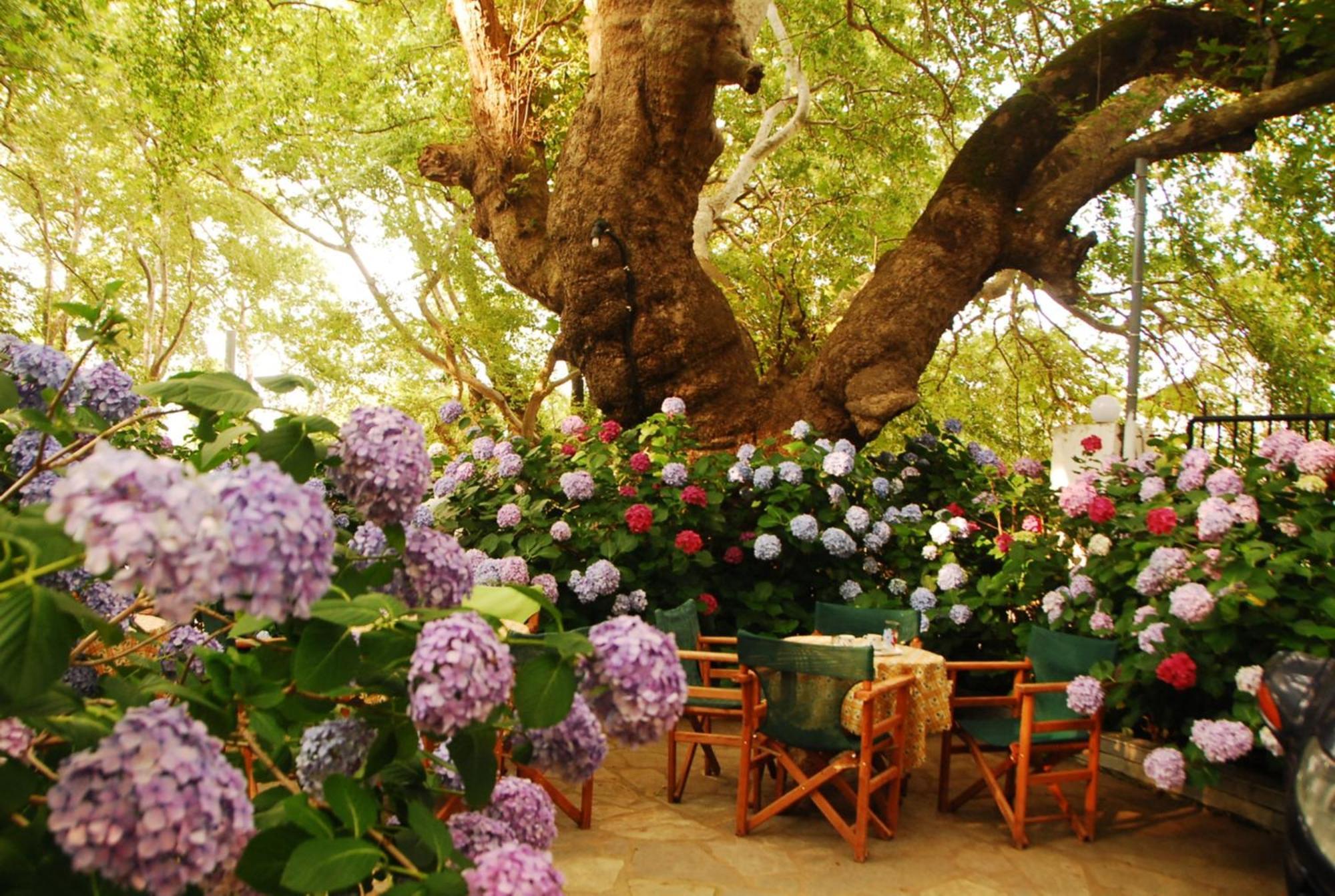 Parselia Rooms Therma (Samothraki) Quarto foto
