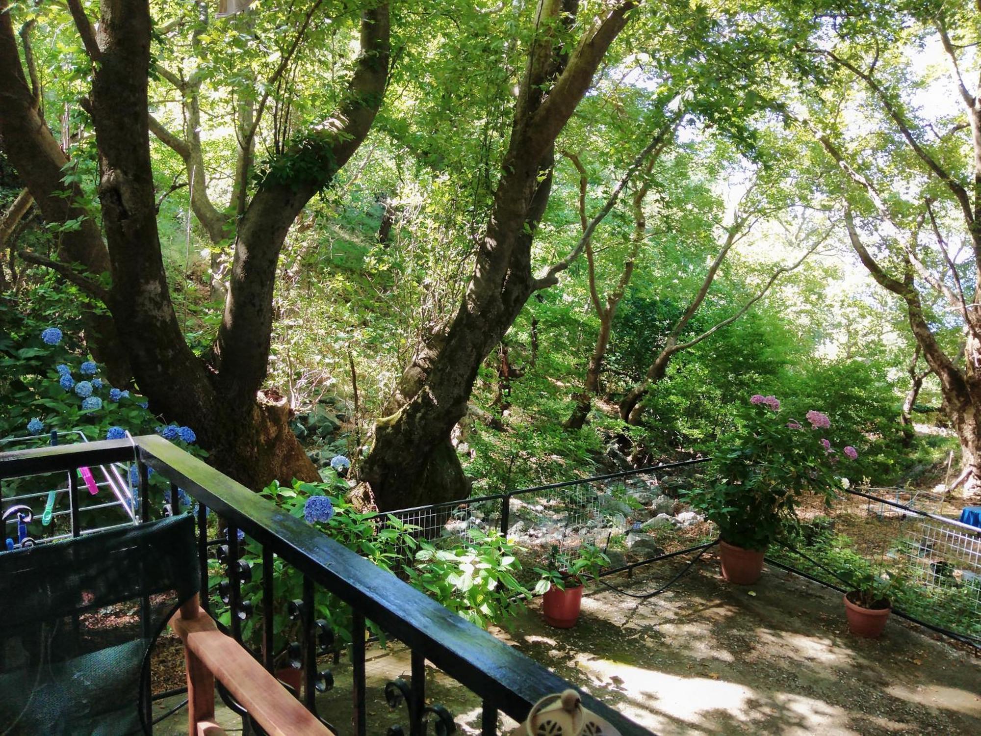 Parselia Rooms Therma (Samothraki) Quarto foto