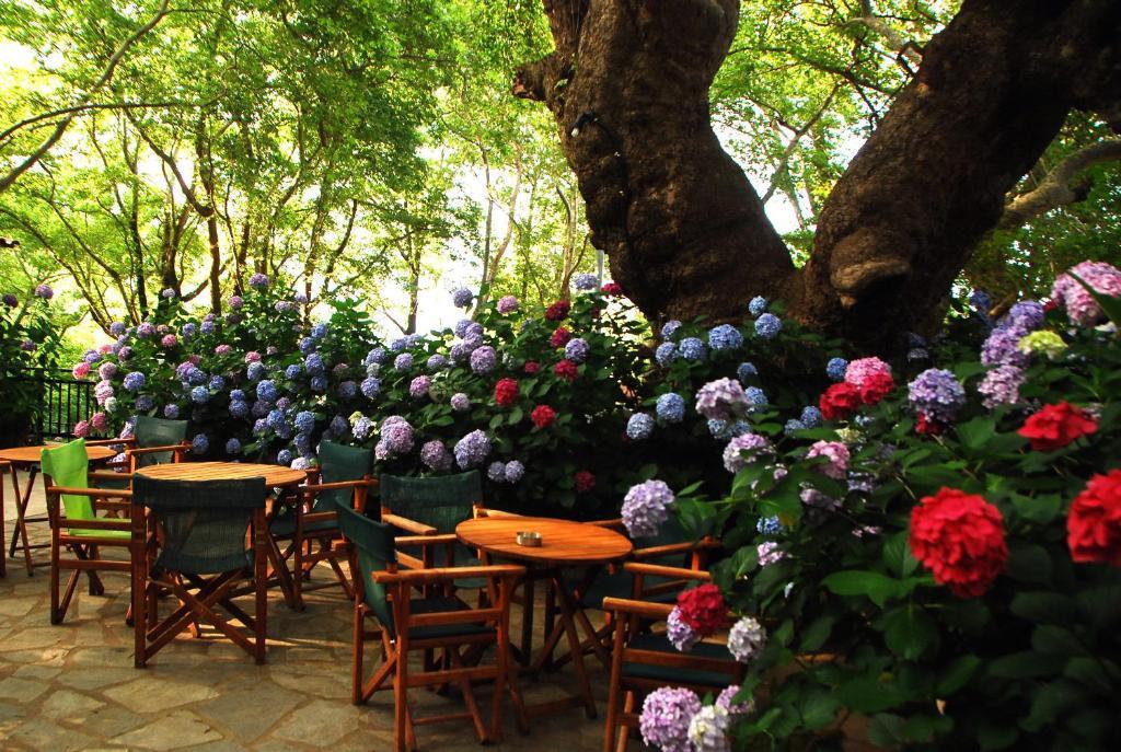 Parselia Rooms Therma (Samothraki) Exterior foto