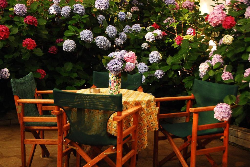 Parselia Rooms Therma (Samothraki) Exterior foto