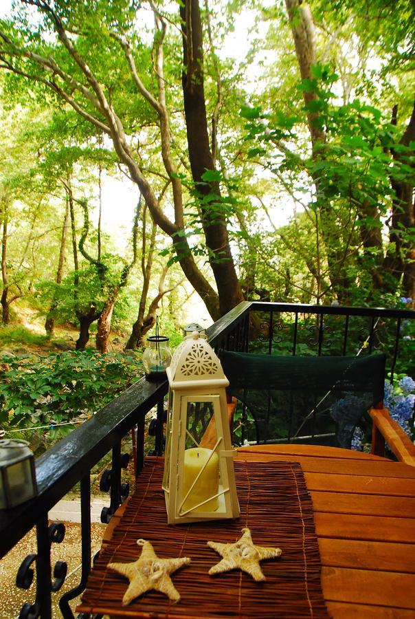 Parselia Rooms Therma (Samothraki) Exterior foto
